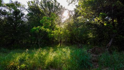 Tbd Symank Road Megargel TX 76370
