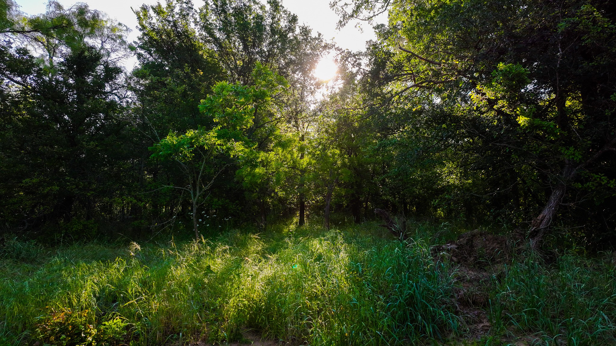 Tbd Symank Road Megargel TX 76370