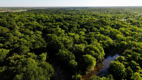 Tbd Symank Road Megargel TX 76370