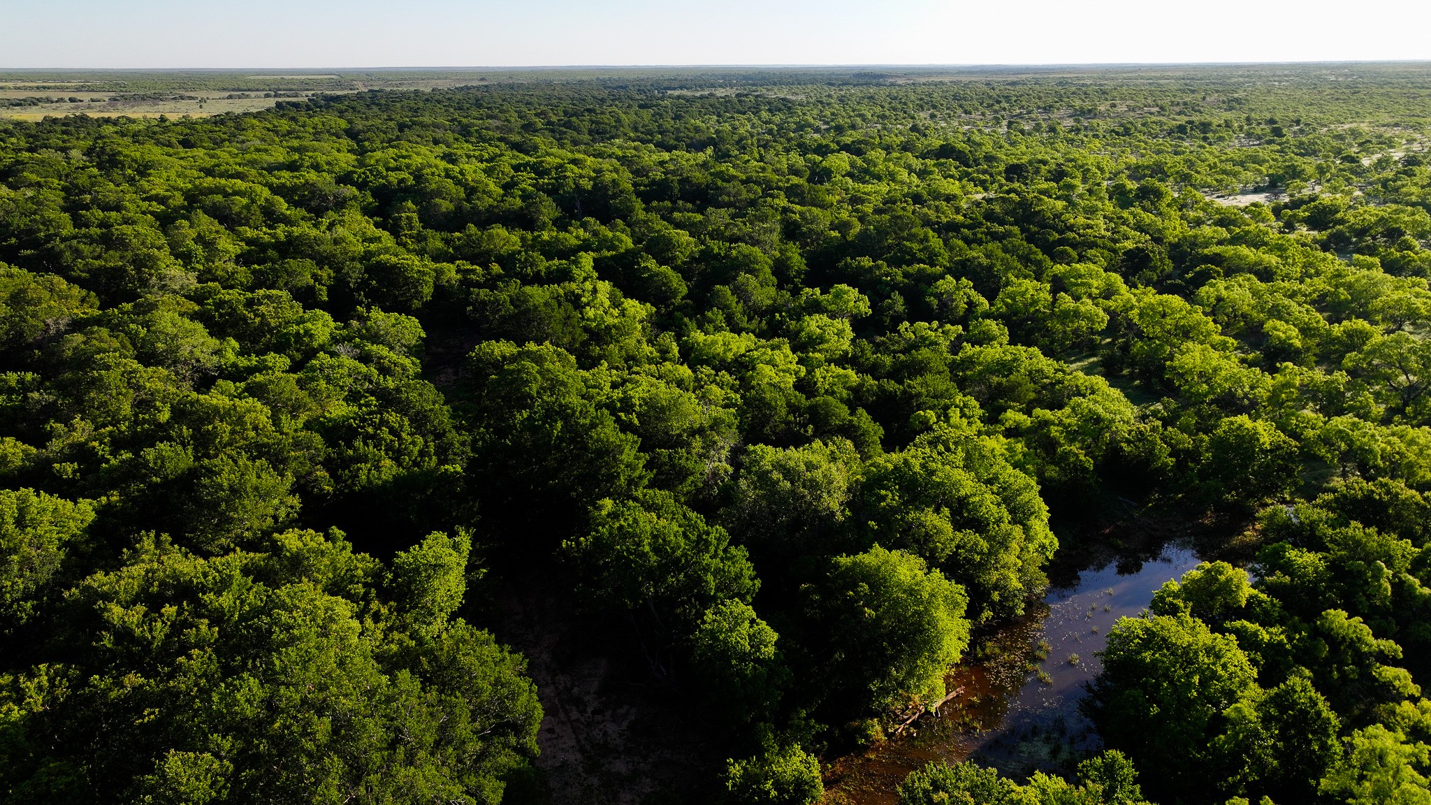 Tbd Symank Road Megargel TX 76370