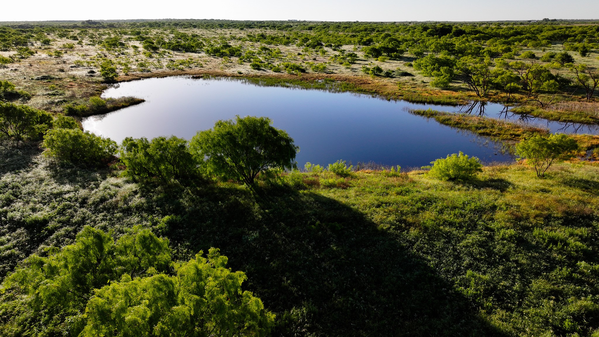 Tbd Symank Road Megargel TX 76370
