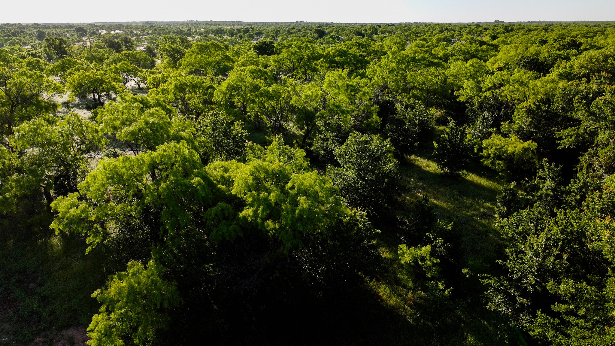Tbd Symank Road Megargel TX 76370