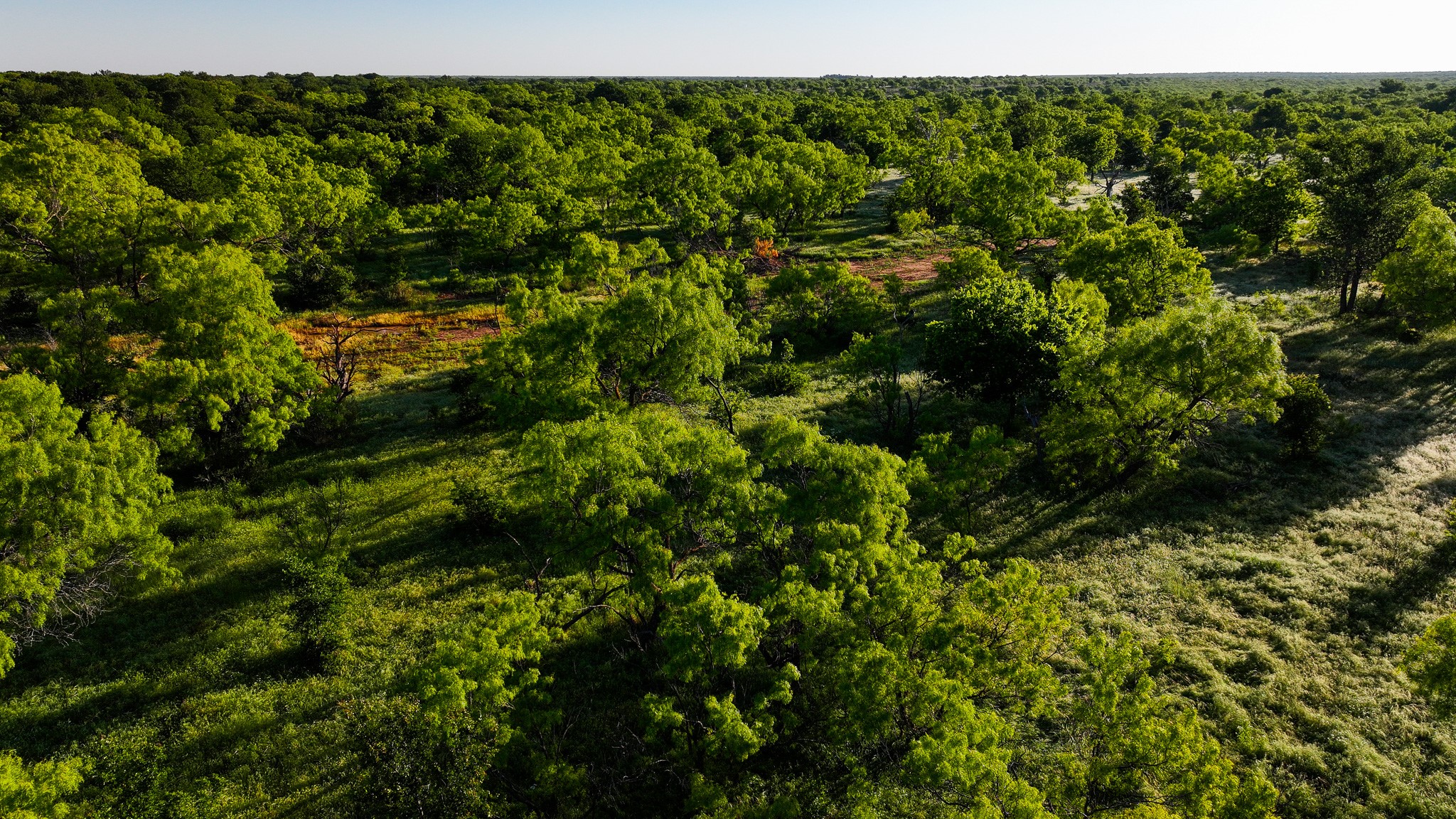 Tbd Symank Road Megargel TX 76370