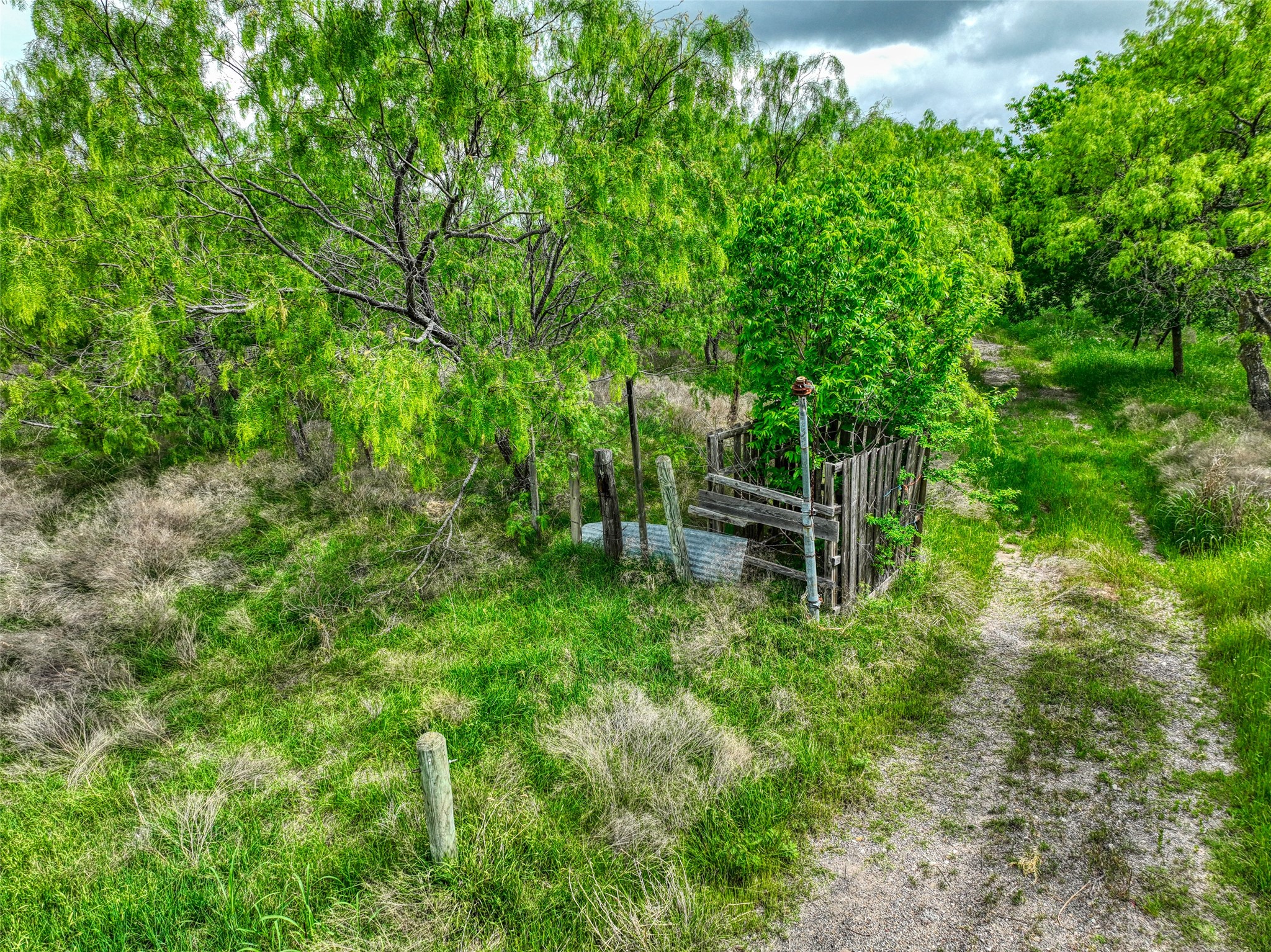 206 185 Rice TX 75155