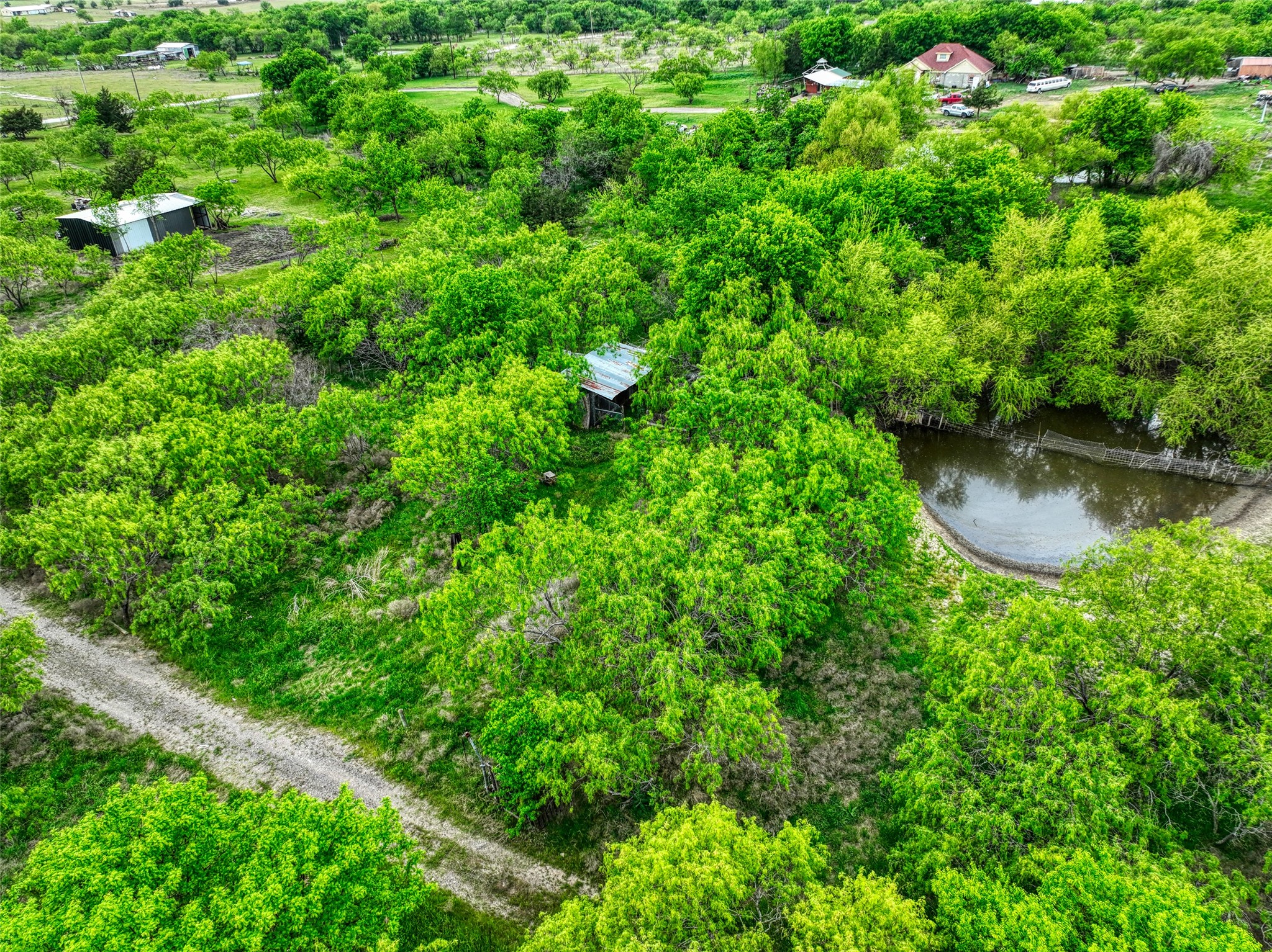 206 185 Rice TX 75155