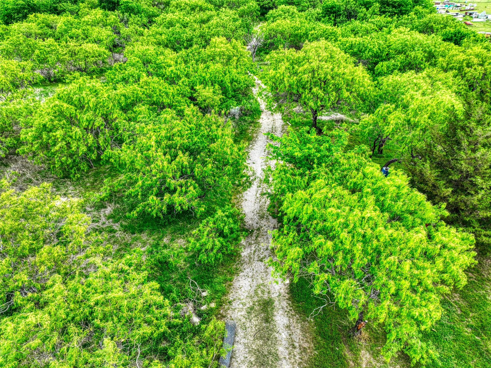 206 185 Rice TX 75155