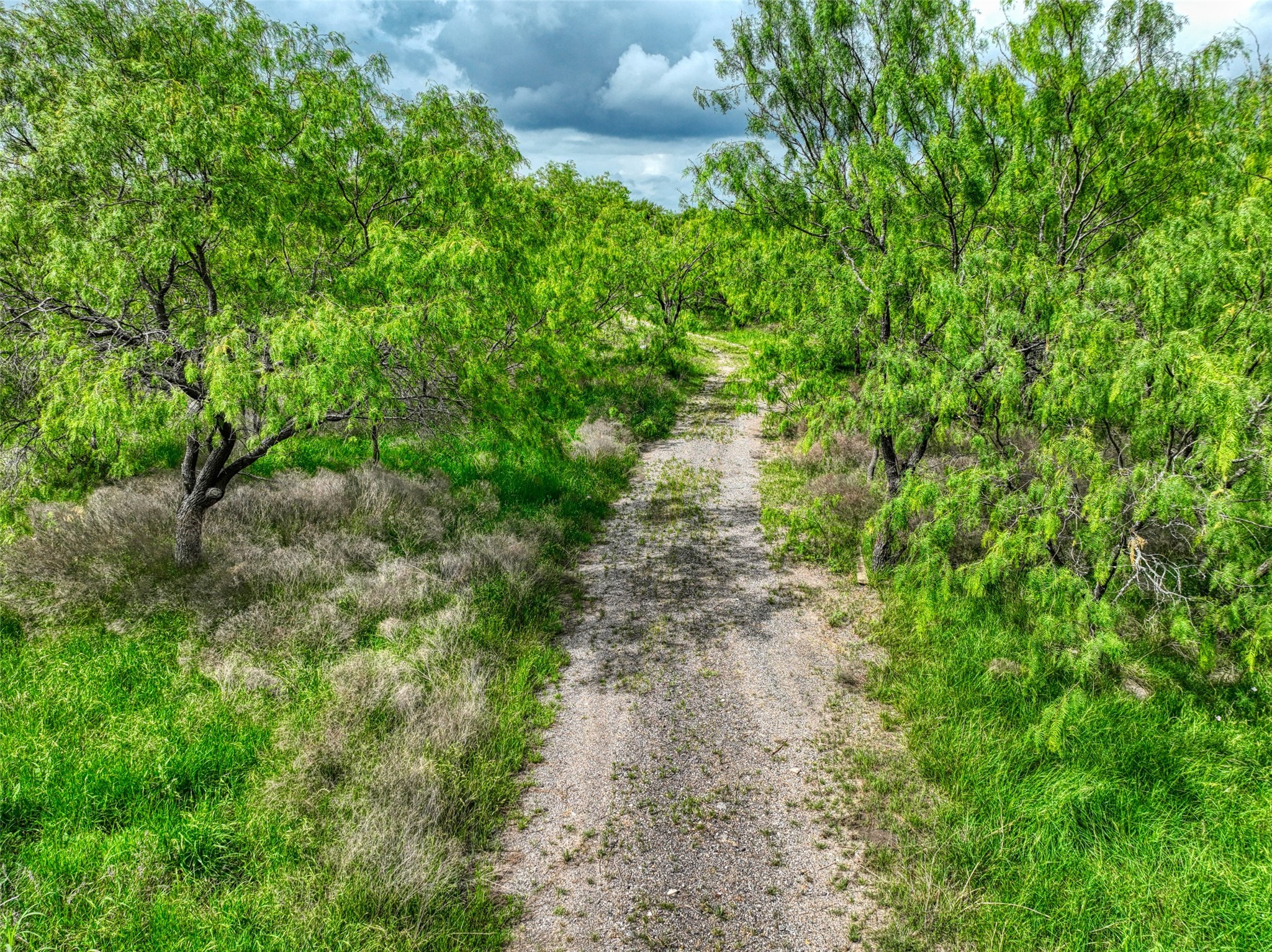 206 185 Rice TX 75155