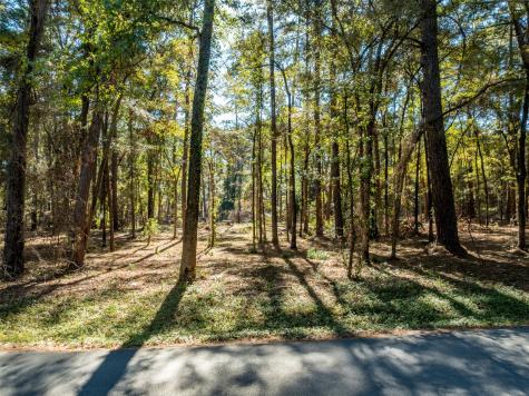0 Pintail Drive Flint TX 75762