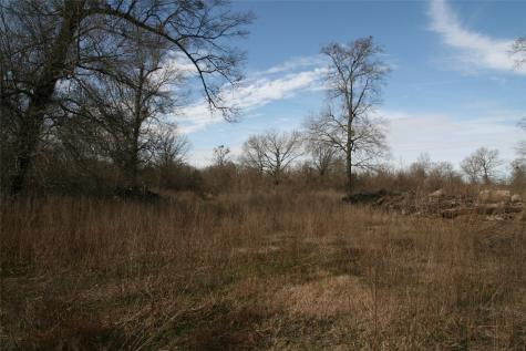 Tbd Vz County Road 1905 Edgewood TX 75117