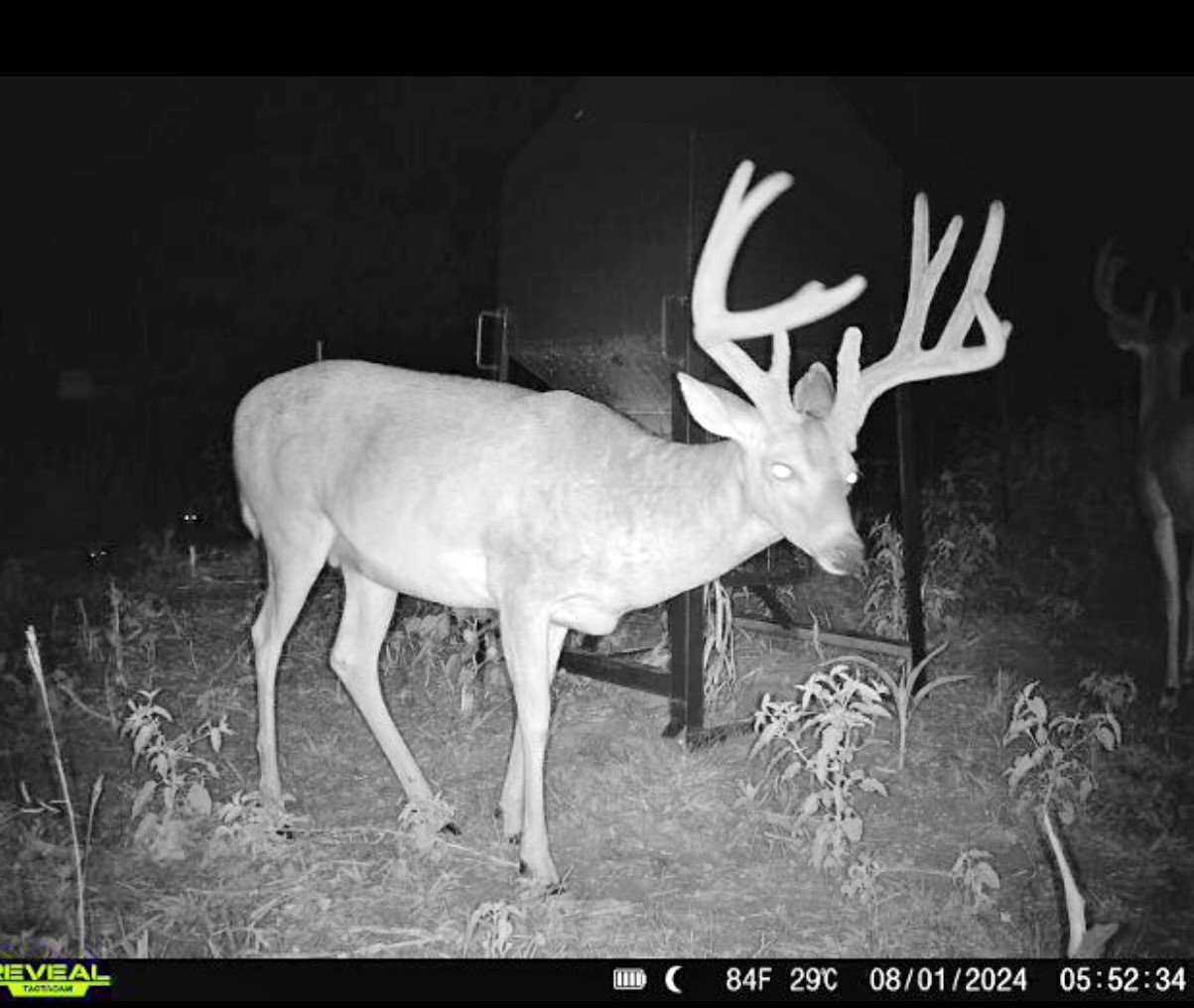 000 N3840 Road Mcalester OK 74538