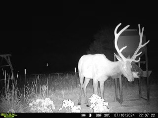 000 N3840 Road Mcalester OK 74538