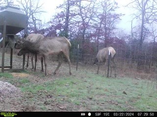 000 N3840 Road Mcalester OK 74538