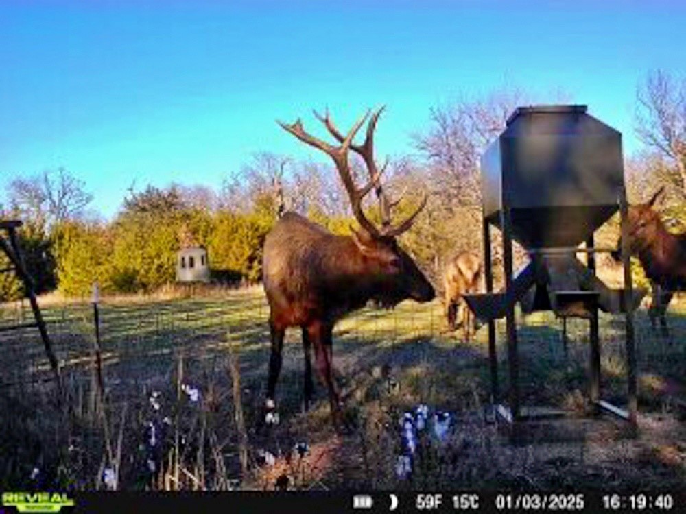 000 N3840 Road Mcalester OK 74538