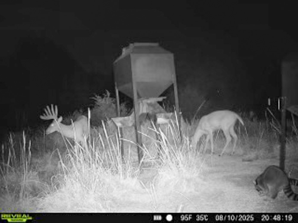 000 N3840 Road Mcalester OK 74538