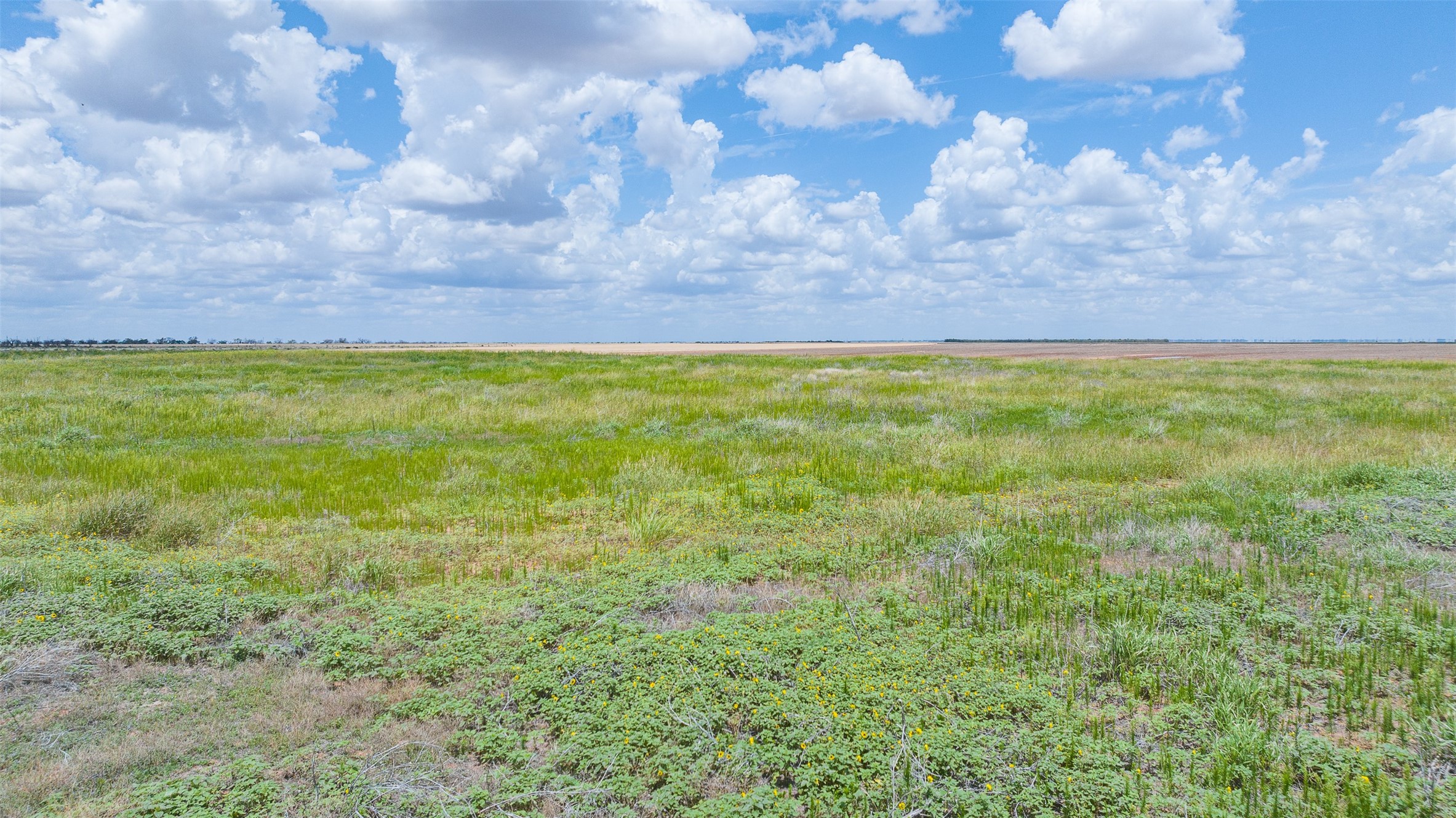 Tbd Cr 260 Anson TX 79501