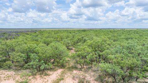 Tbd Cr 260 Anson TX 79501