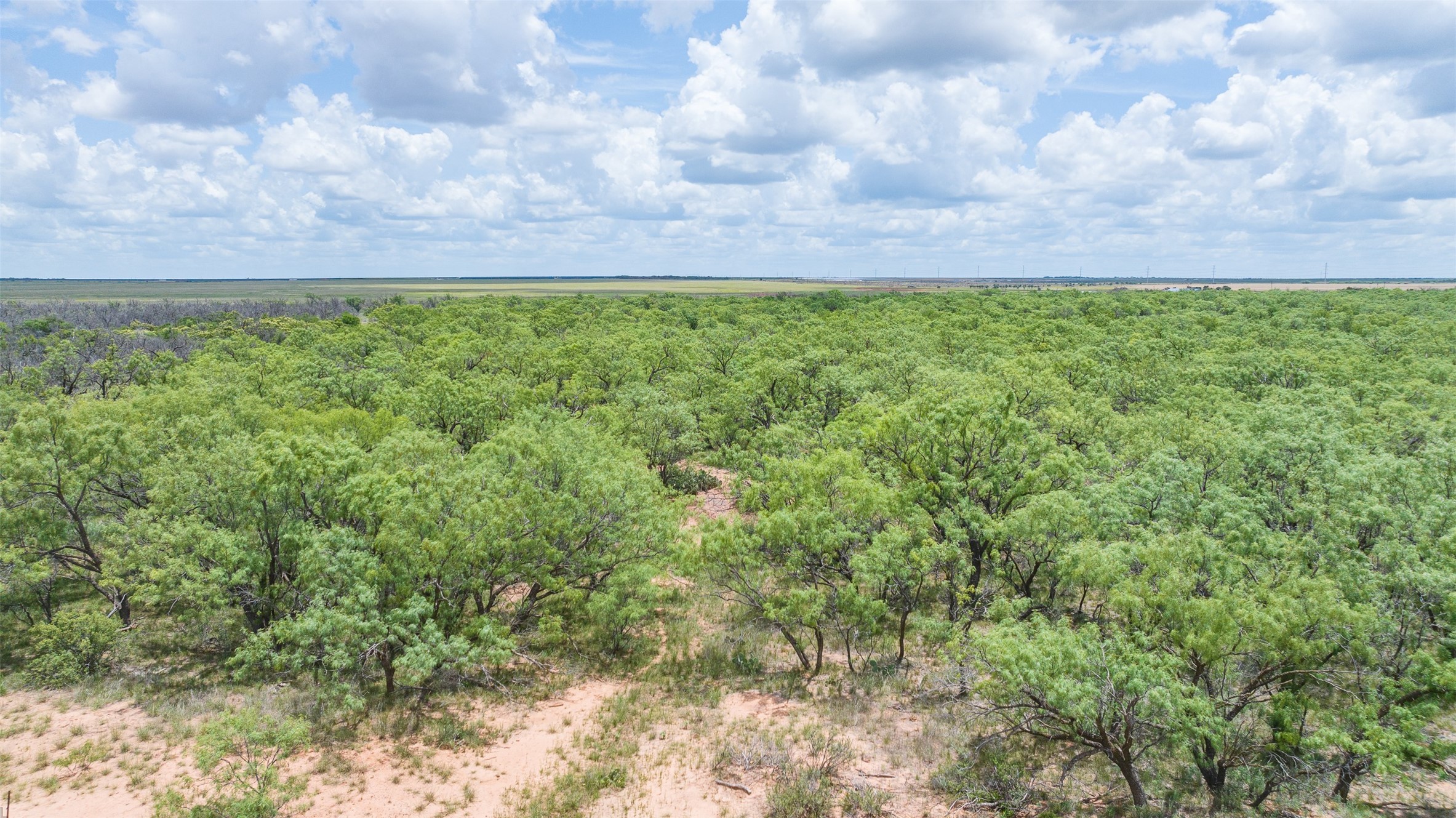Tbd Cr 260 Anson TX 79501