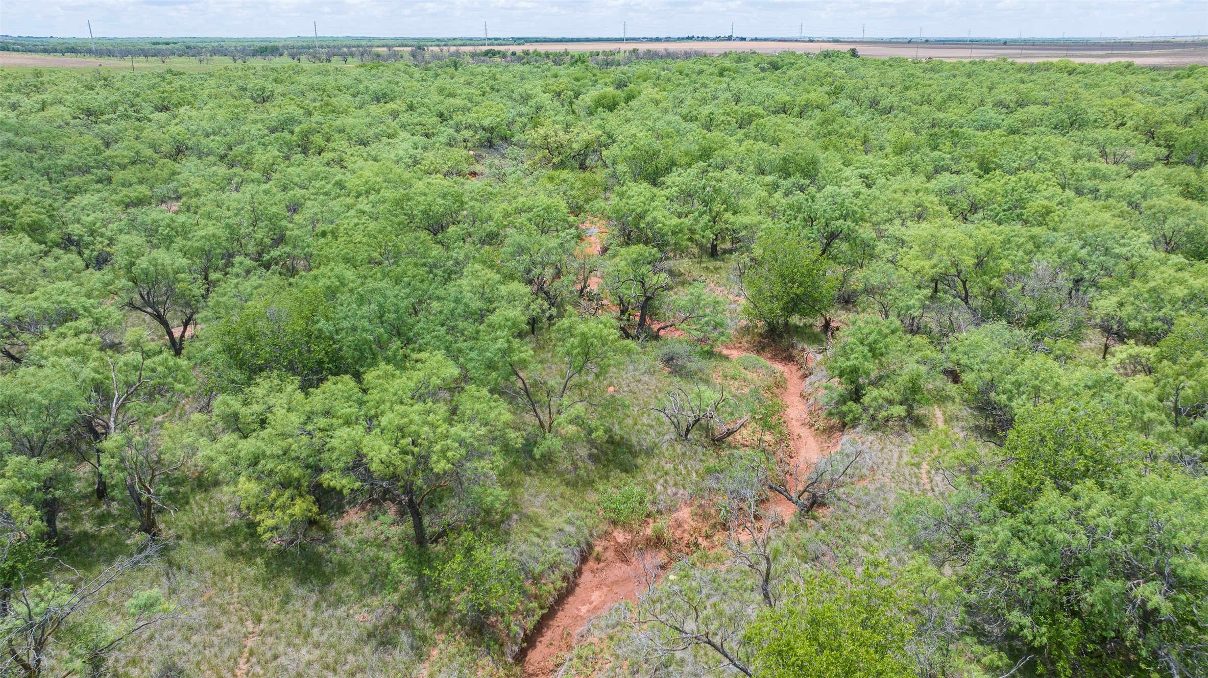 Tbd Cr 260 Anson TX 79501