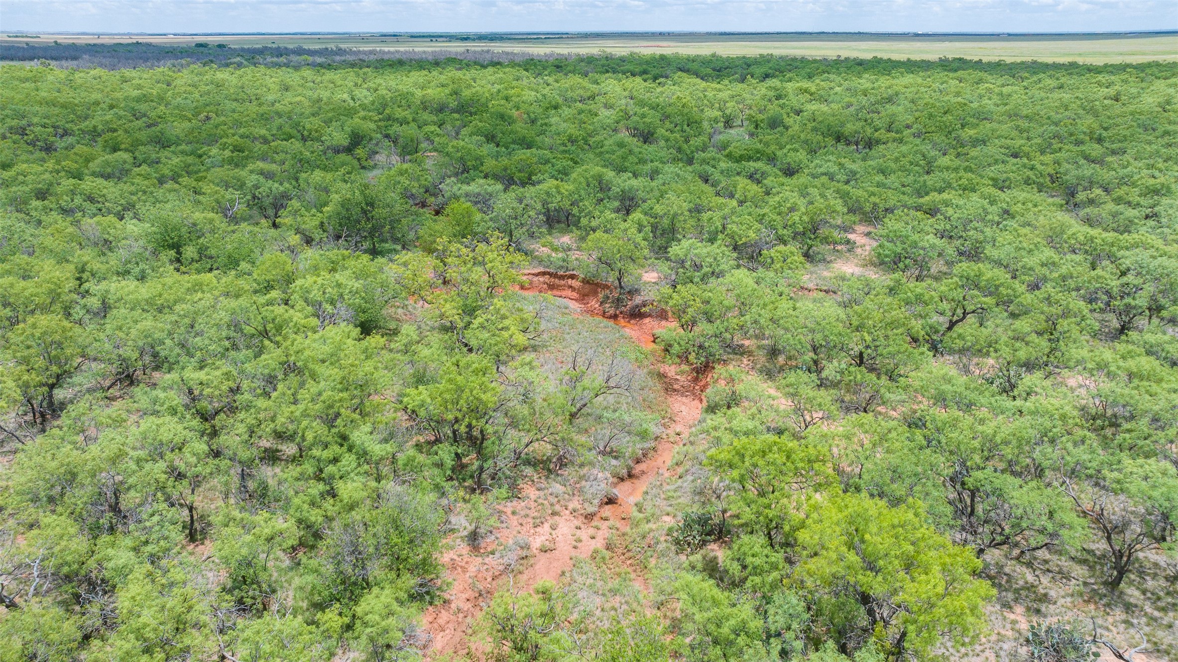 Tbd Cr 260 Anson TX 79501