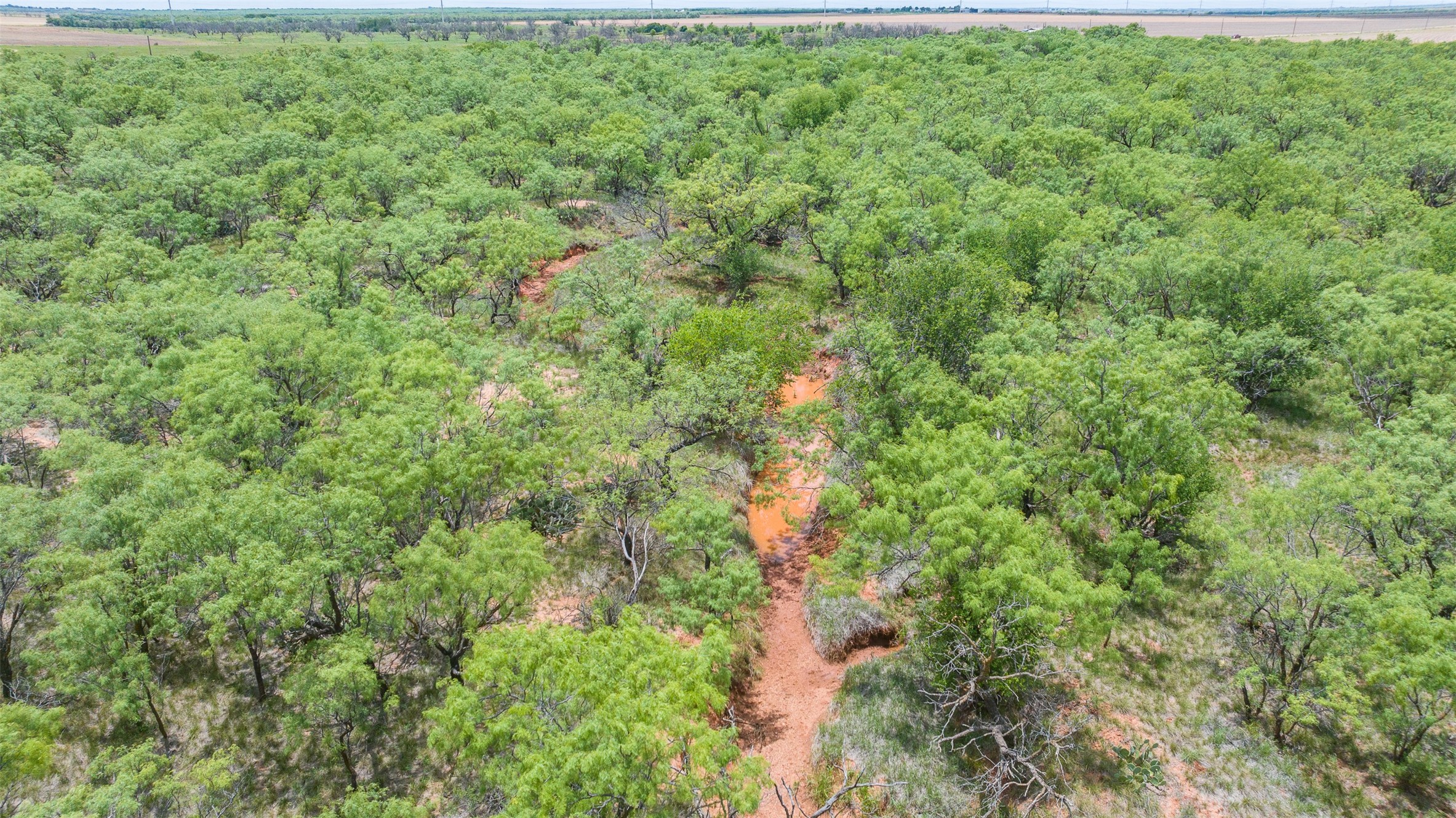 Tbd Cr 260 Anson TX 79501