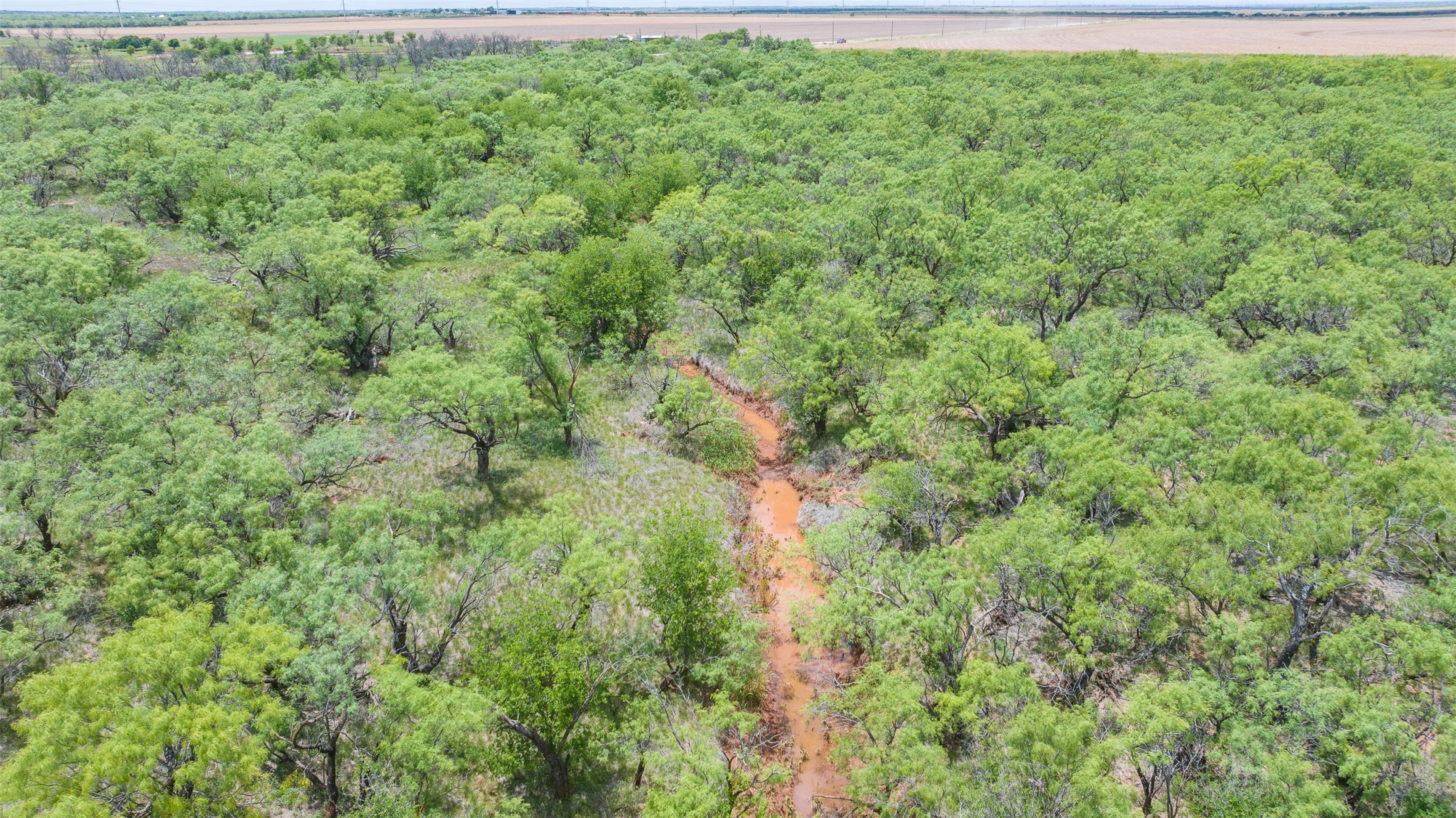 Tbd Cr 260 Anson TX 79501