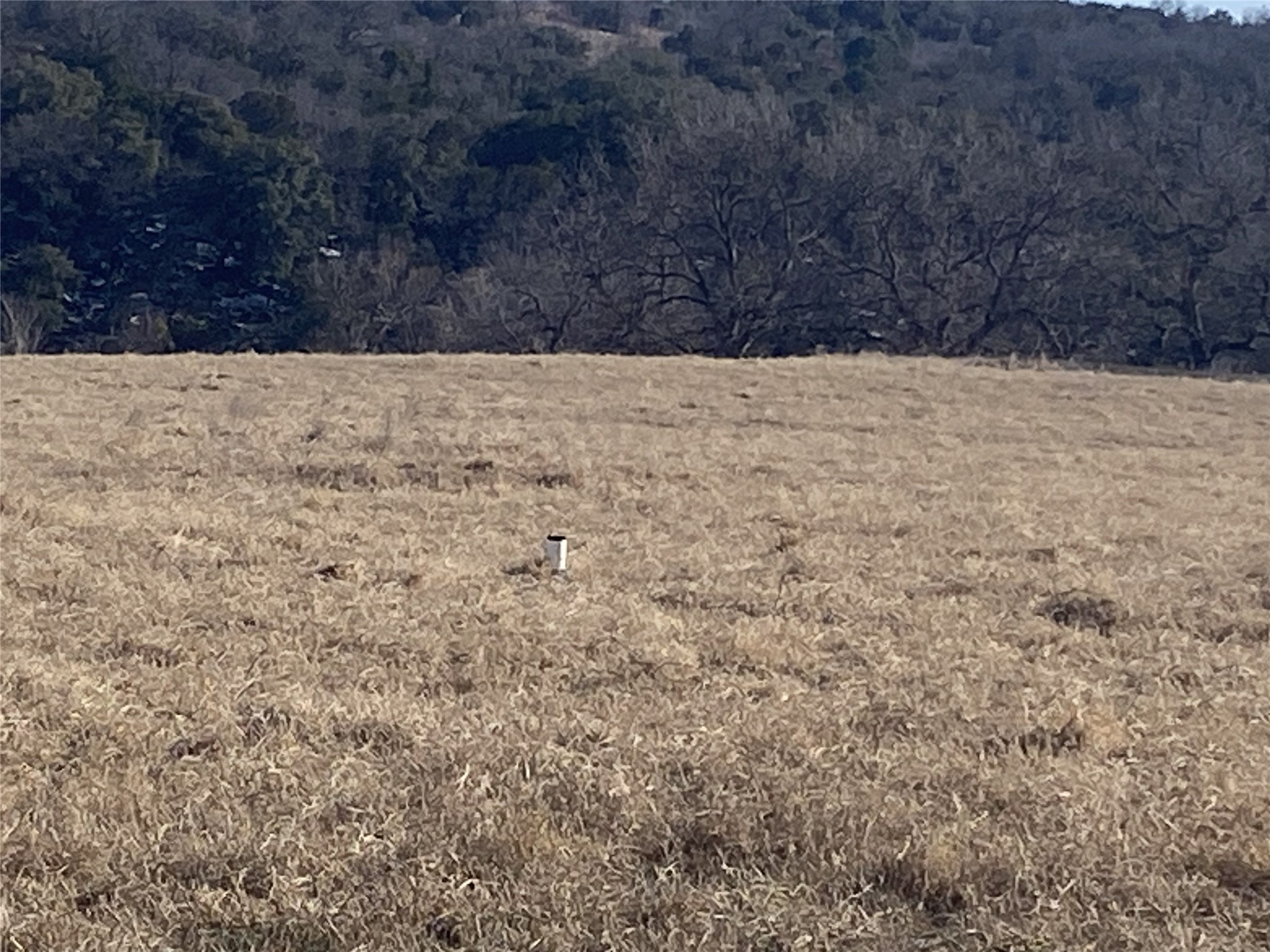 Lot 133 River Shoals Mineral Wells TX 76067