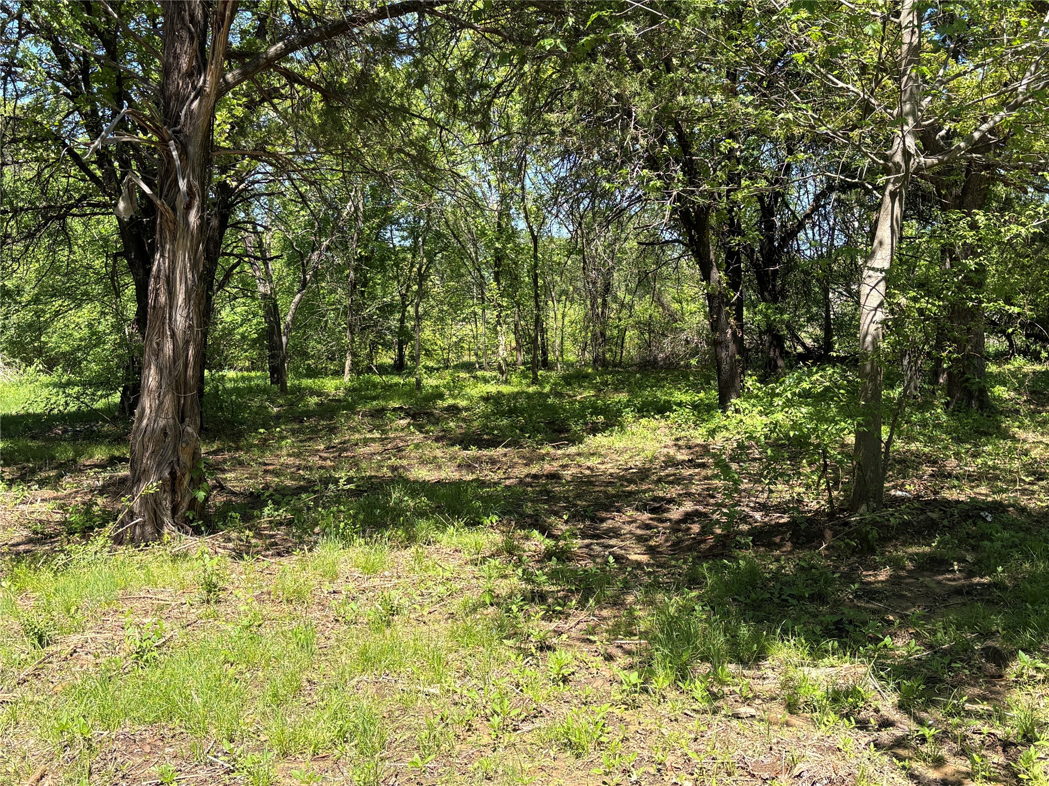 000 1-a Cr 167 Road Whitesboro TX 76273