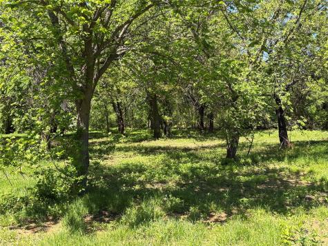 000 1-a Cr 167 Road Whitesboro TX 76273
