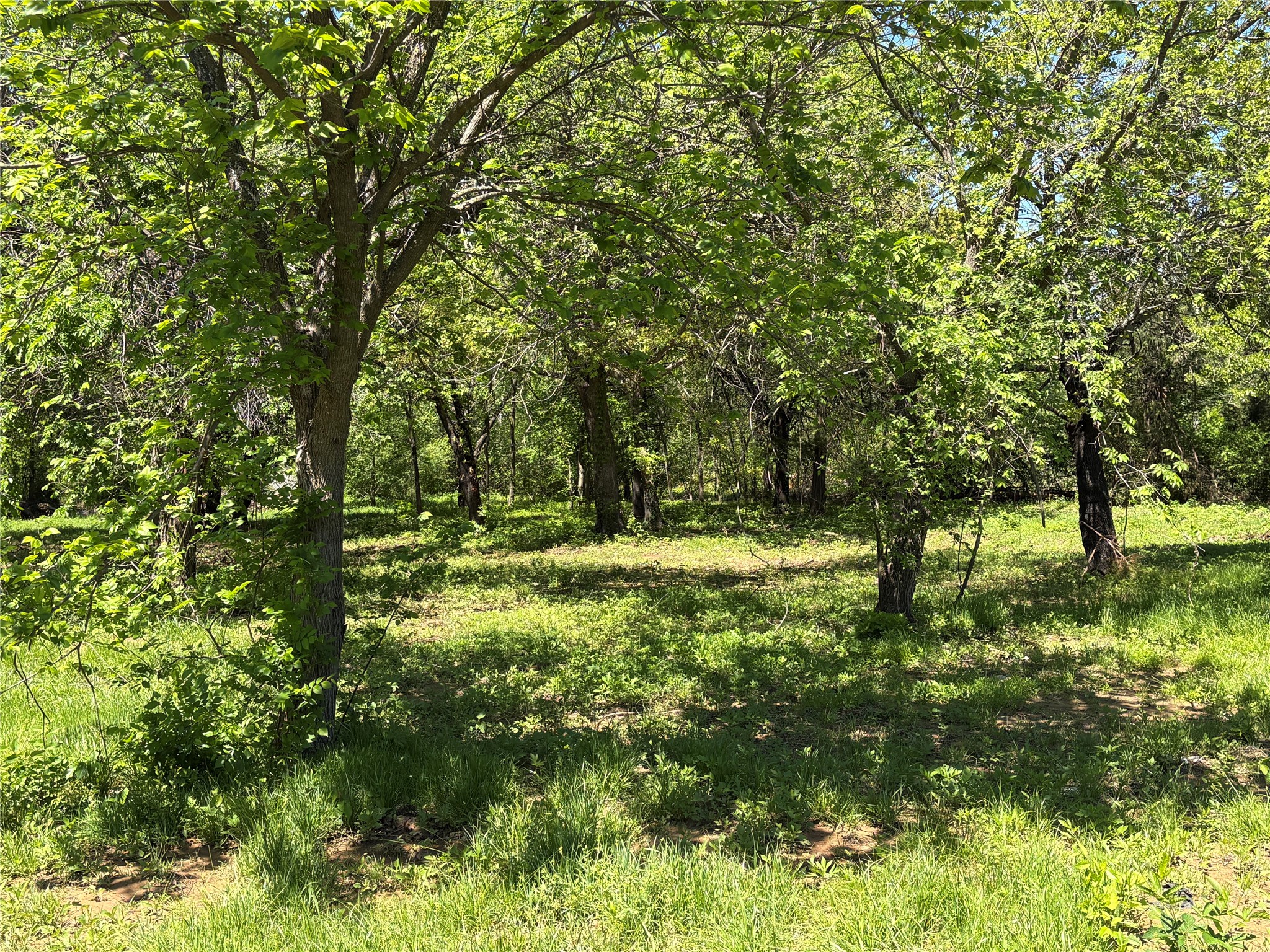 000 1-a Cr 167 Road Whitesboro TX 76273