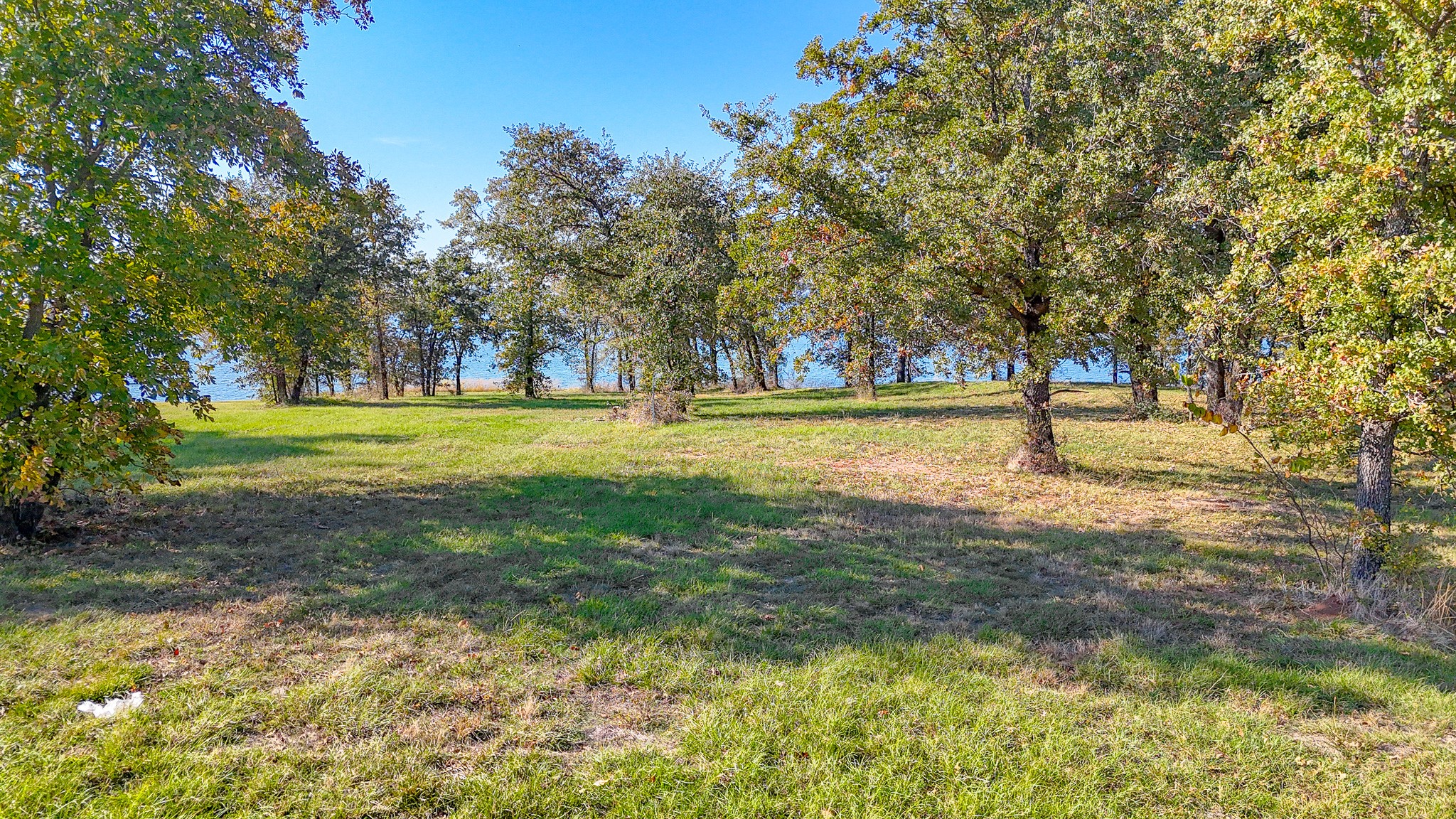 Lot 56 Paradise Cove Streetman TX 75859