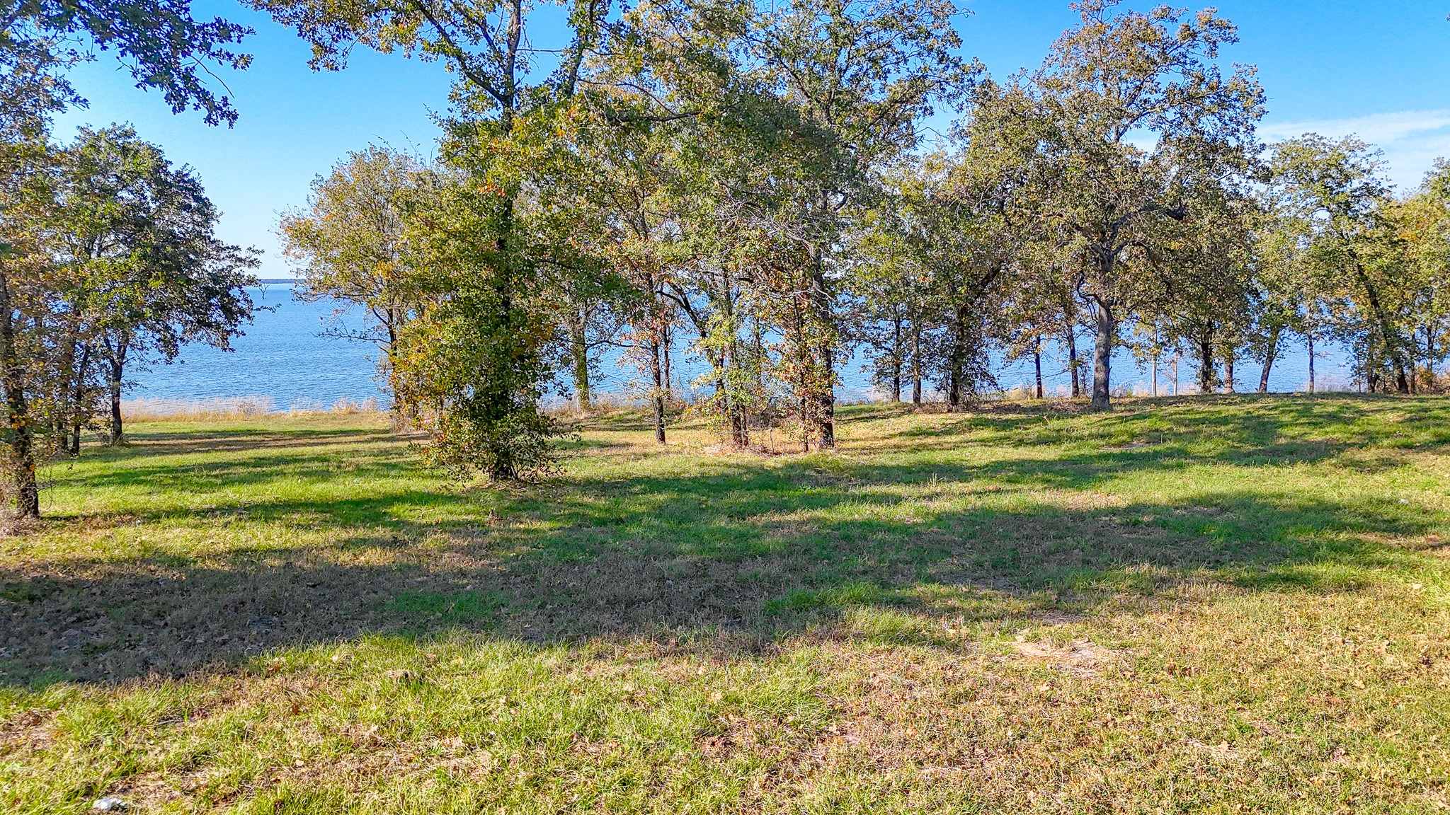 Lot 56 Paradise Cove Streetman TX 75859