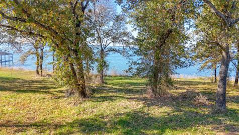 Lot 56 Paradise Cove Streetman TX 75859