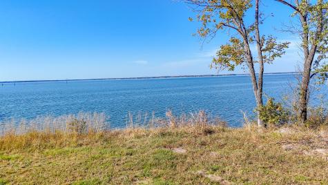 Lot 56 Paradise Cove Streetman TX 75859