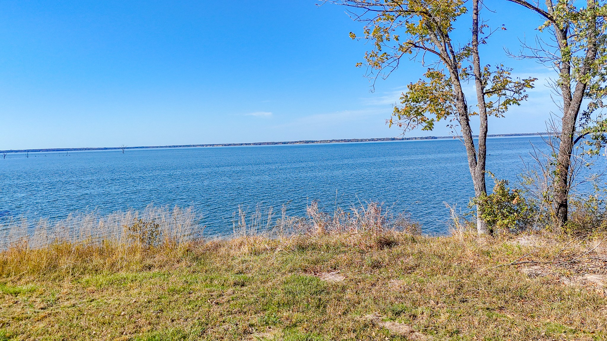 Lot 56 Paradise Cove Streetman TX 75859