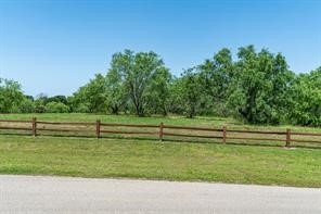 Lot 56 Paradise Cove Streetman TX 75859