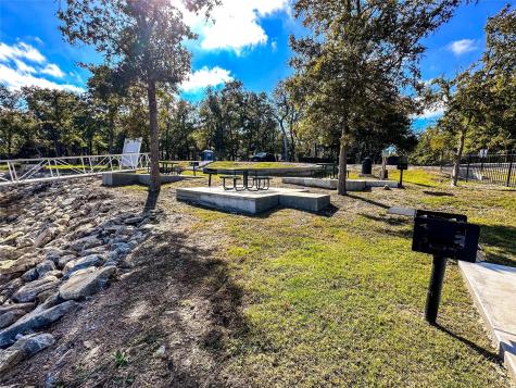 Lot 56 Paradise Cove Streetman TX 75859