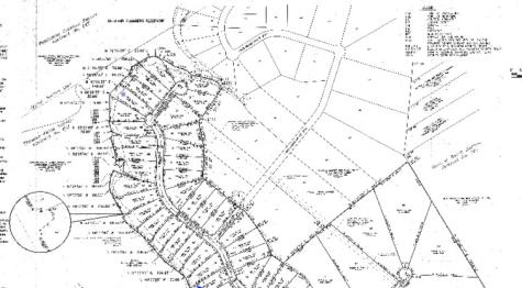 Lot 56 Paradise Cove Streetman TX 75859