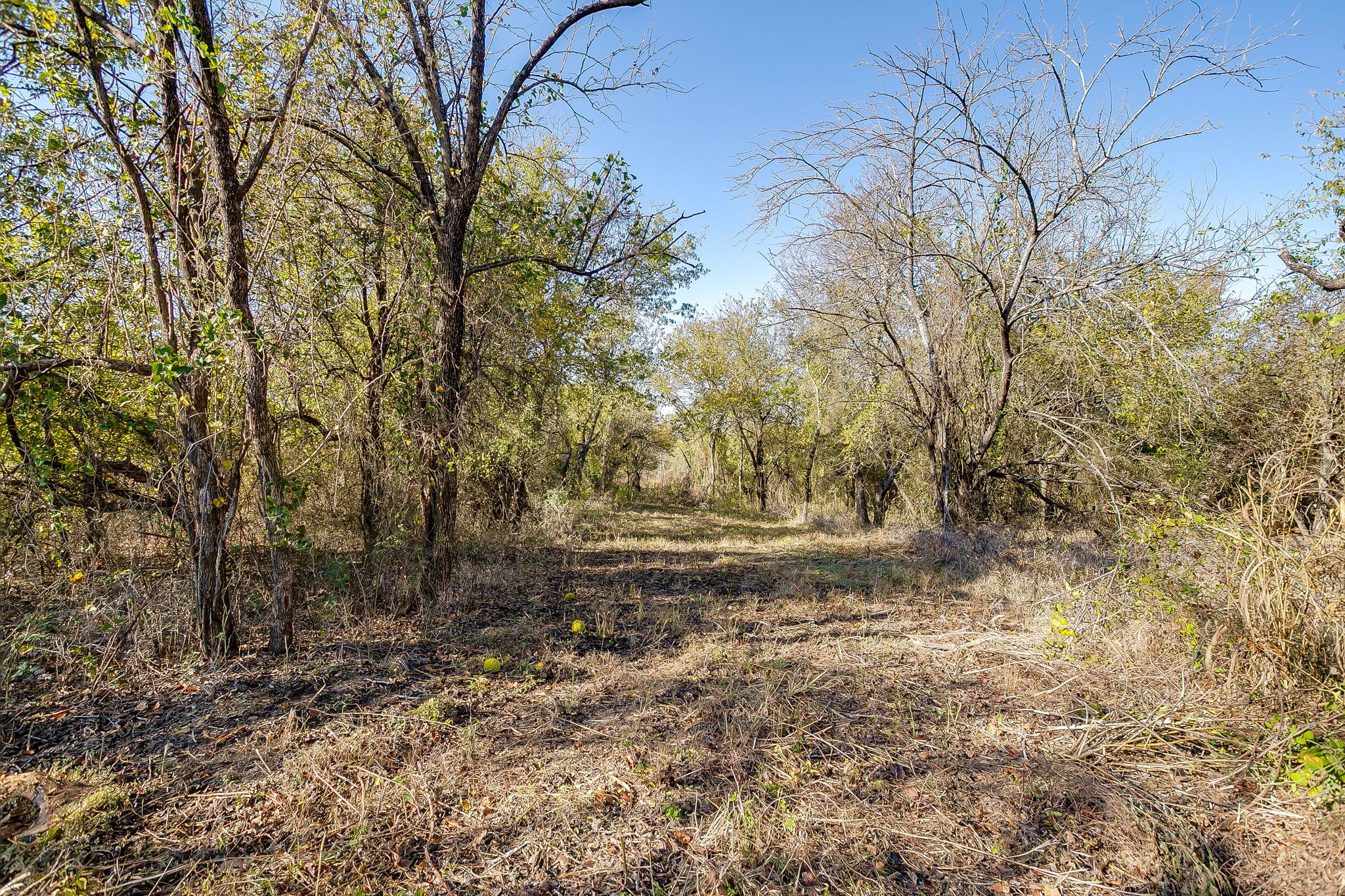 6821 County Road 302 Grandview TX 76050