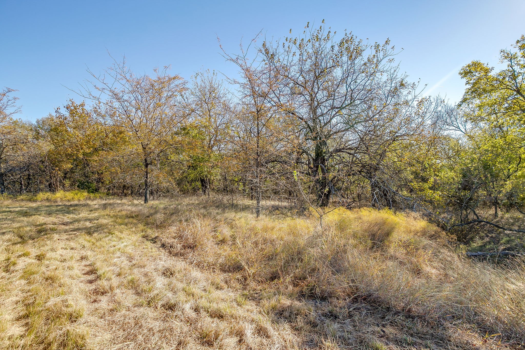 6821 County Road 302 Grandview TX 76050