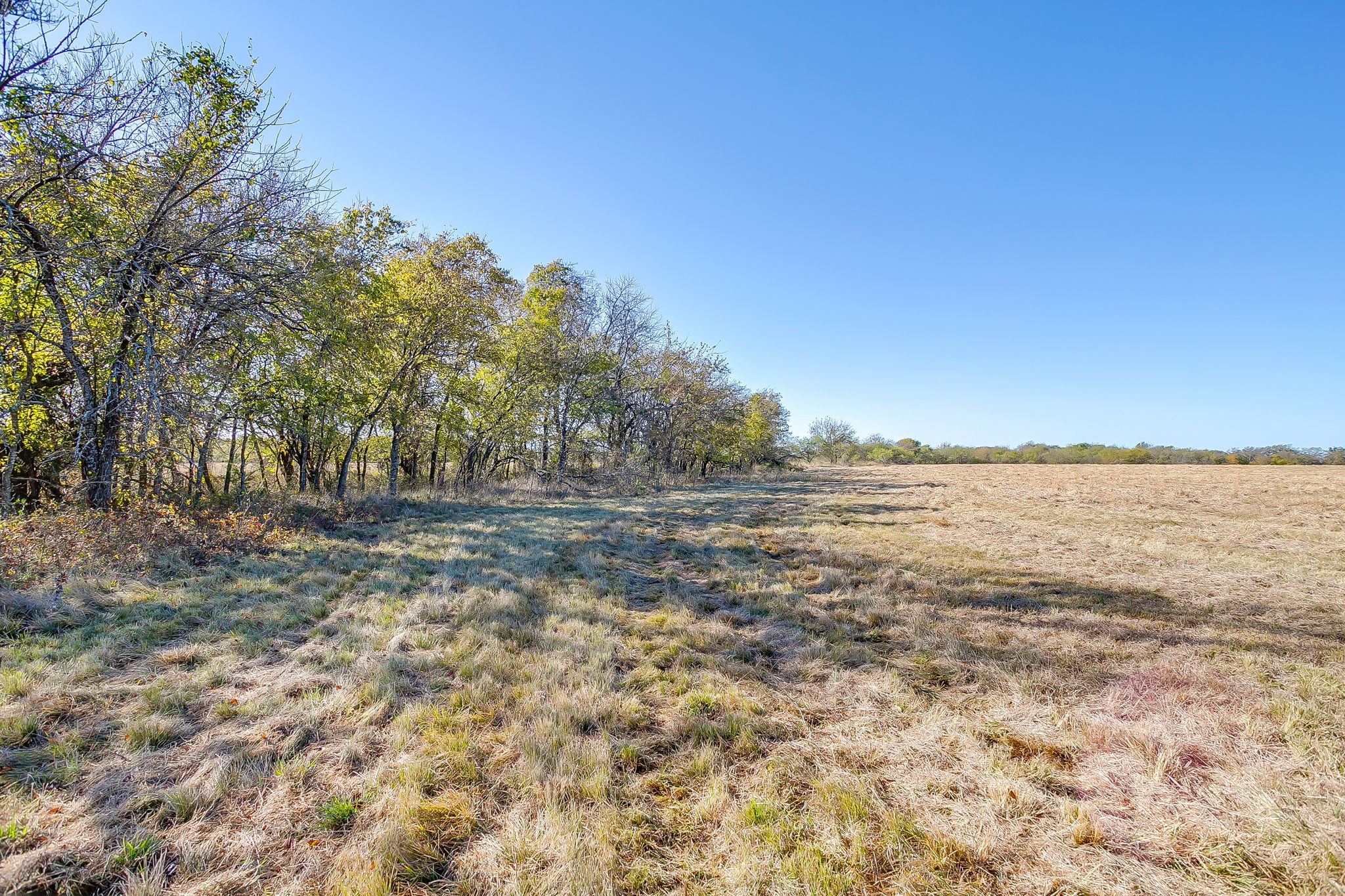 6821 County Road 302 Grandview TX 76050