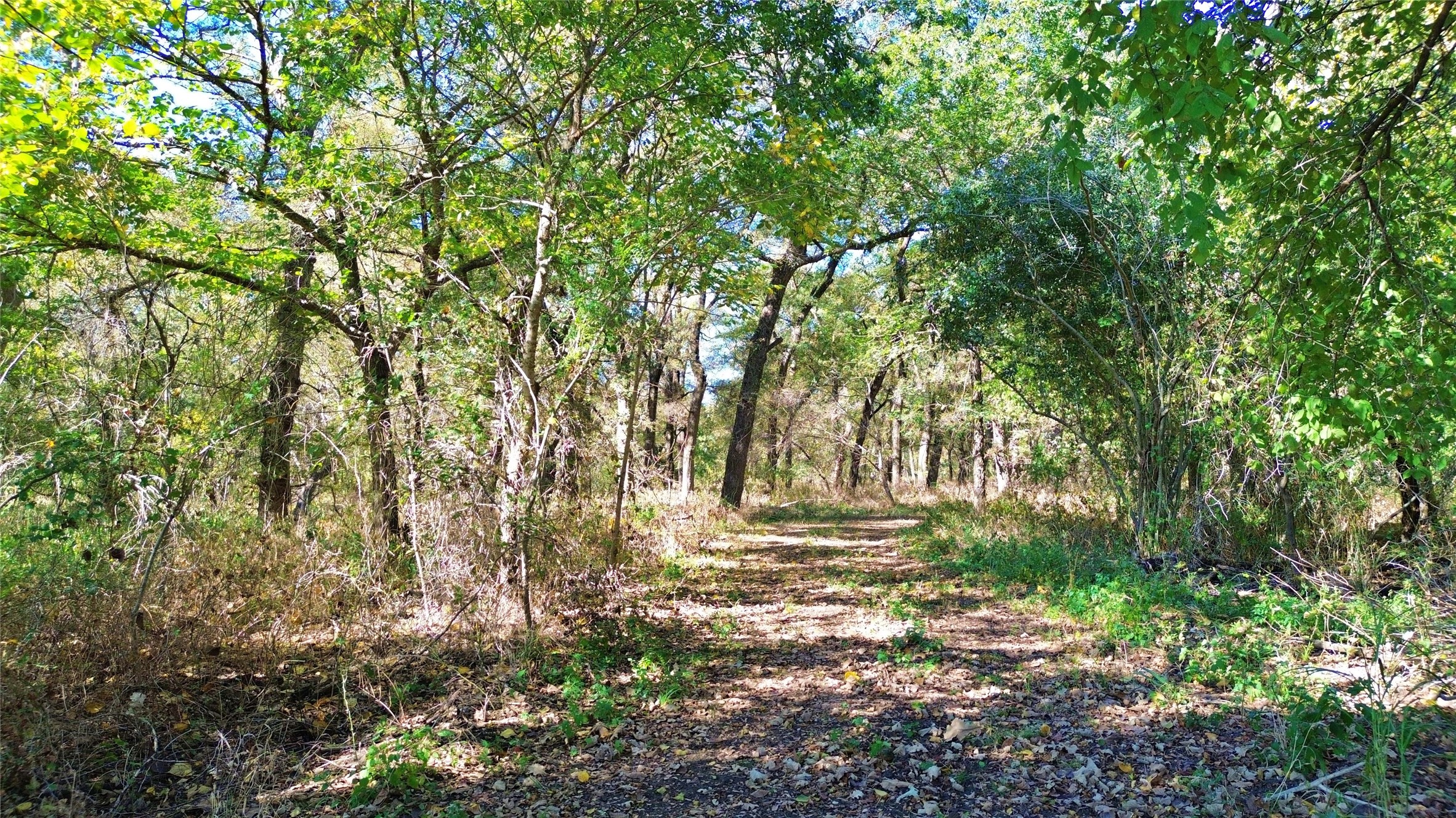 000 Bee Creek Road Grandview TX 76050