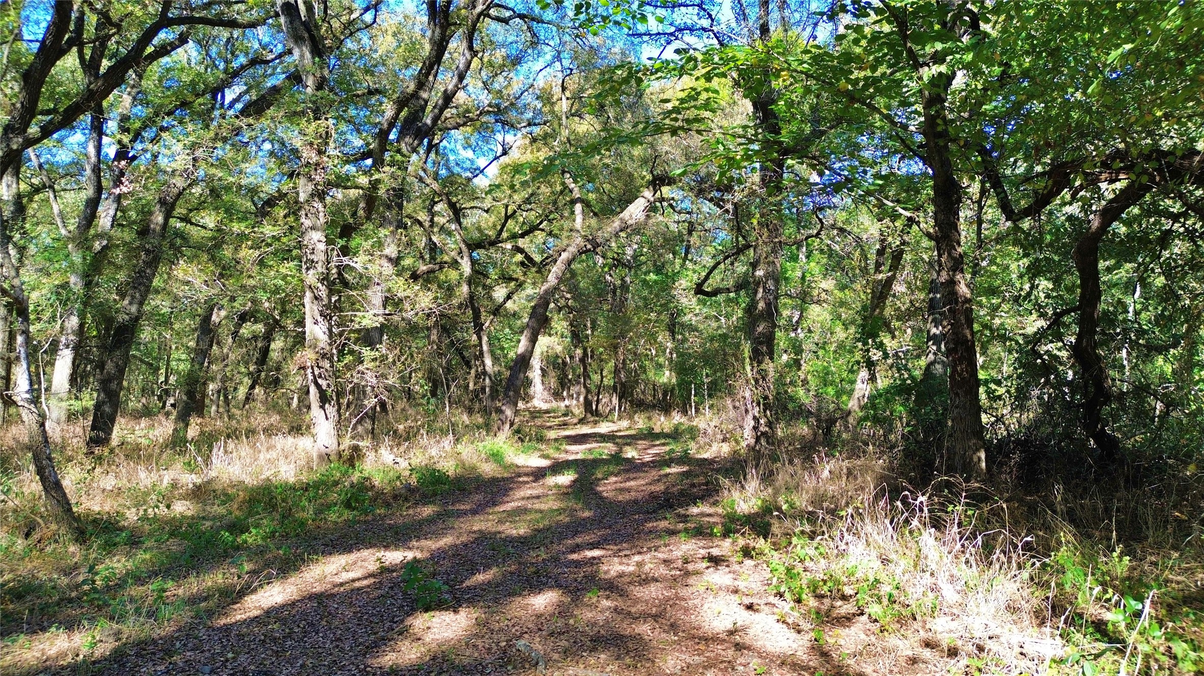 000 Bee Creek Road Grandview TX 76050