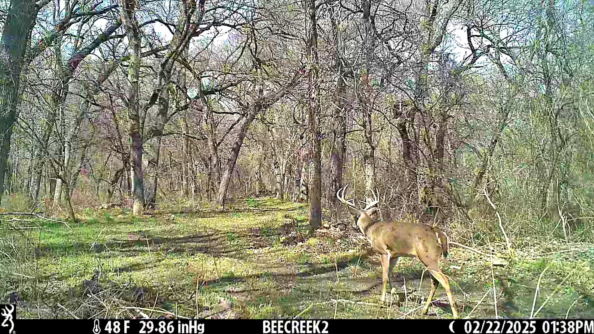 000 Bee Creek Road Grandview TX 76050