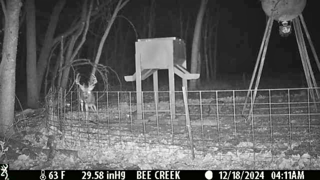 000 Bee Creek Road Grandview TX 76050