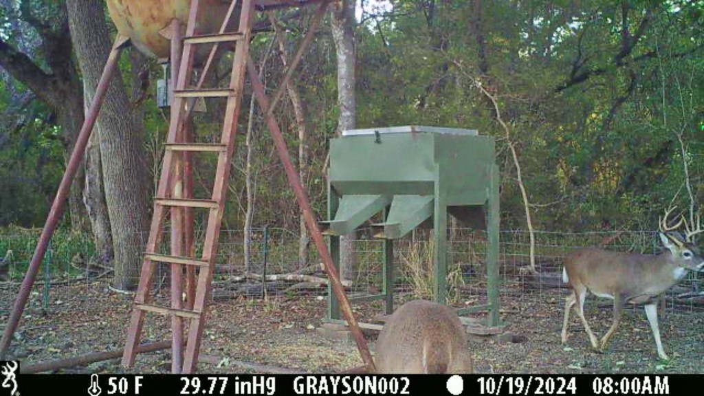000 Bee Creek Road Grandview TX 76050