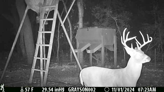 000 Bee Creek Road Grandview TX 76050