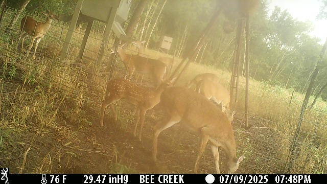 000 Bee Creek Road Grandview TX 76050
