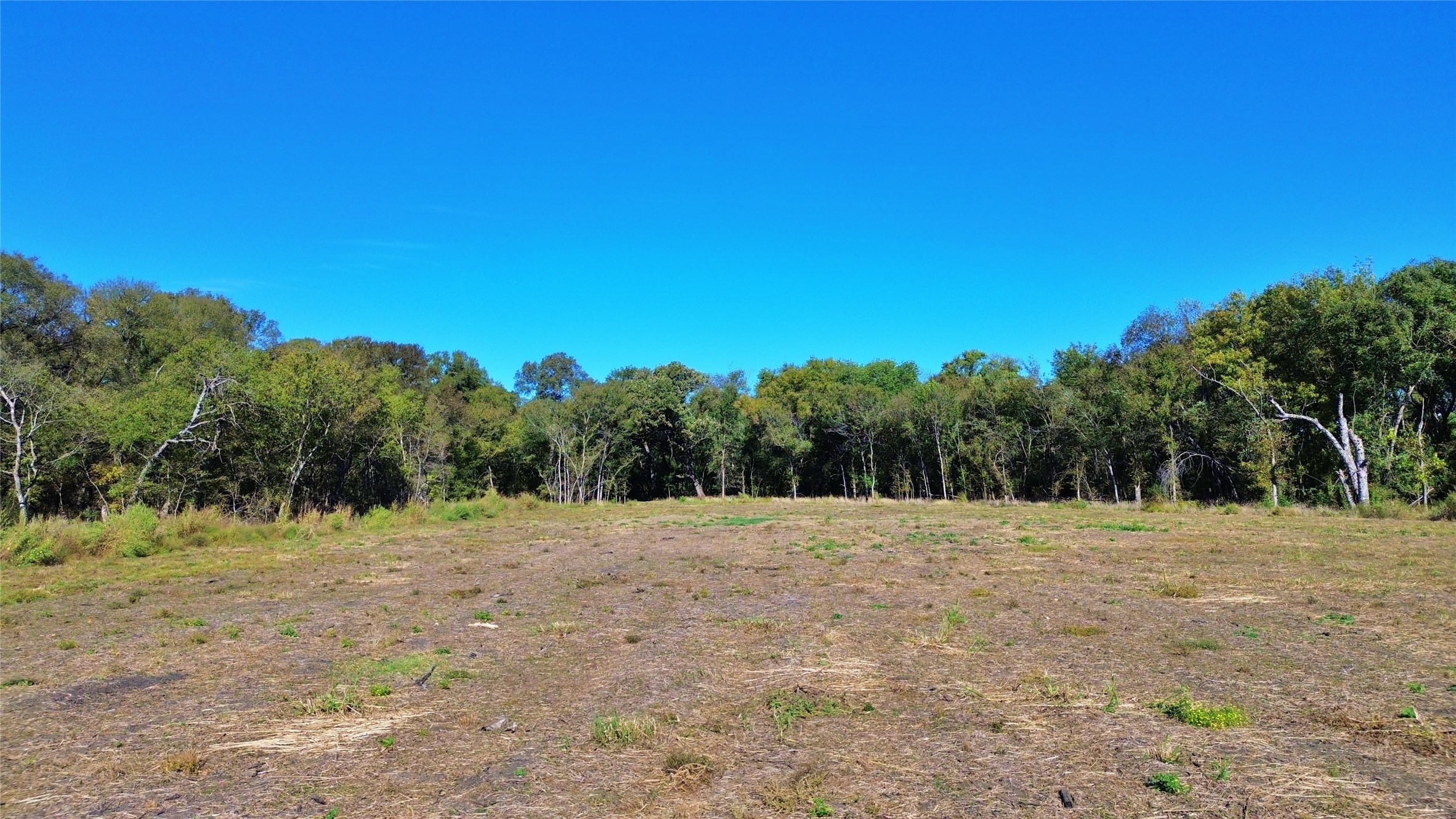 000 Bee Creek Road Grandview TX 76050