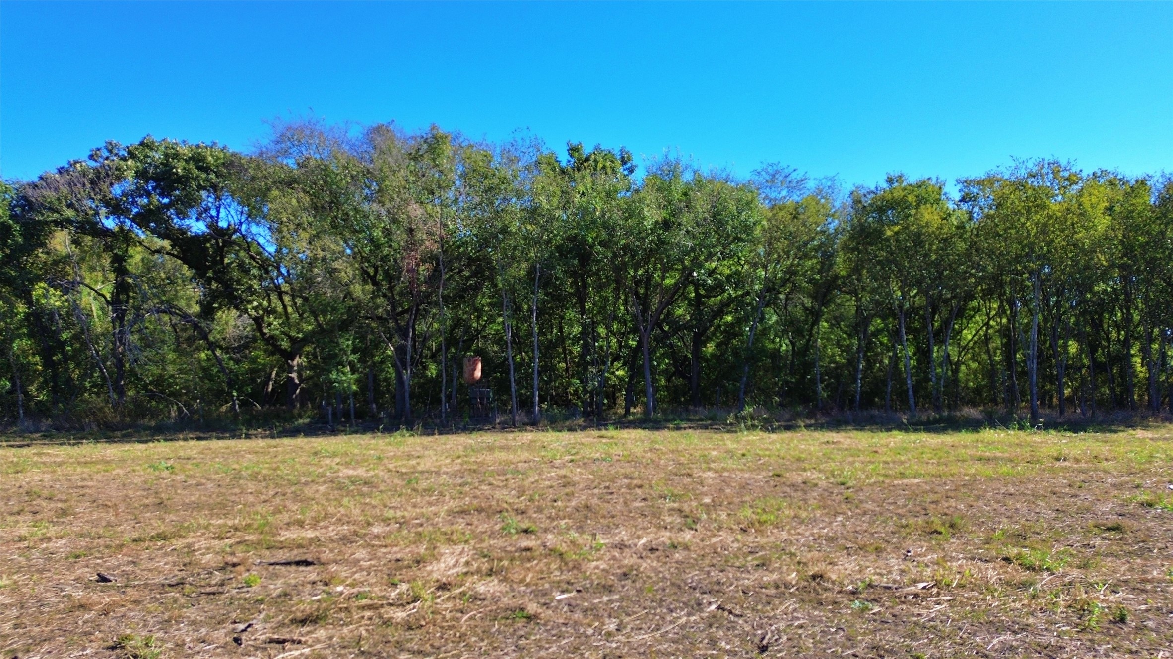 000 Bee Creek Road Grandview TX 76050