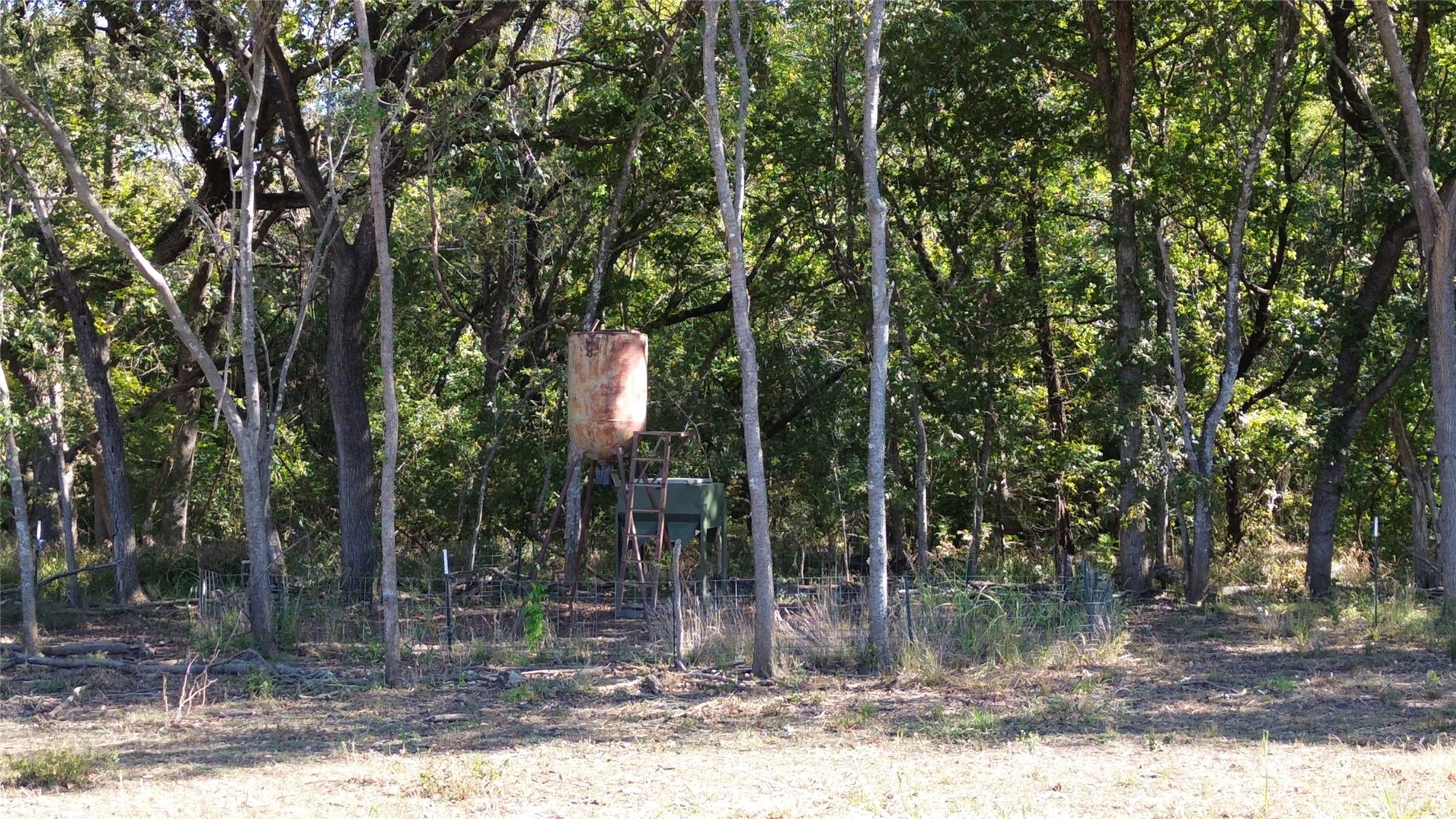 000 Bee Creek Road Grandview TX 76050
